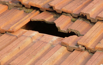 roof repair Halmore, Gloucestershire
